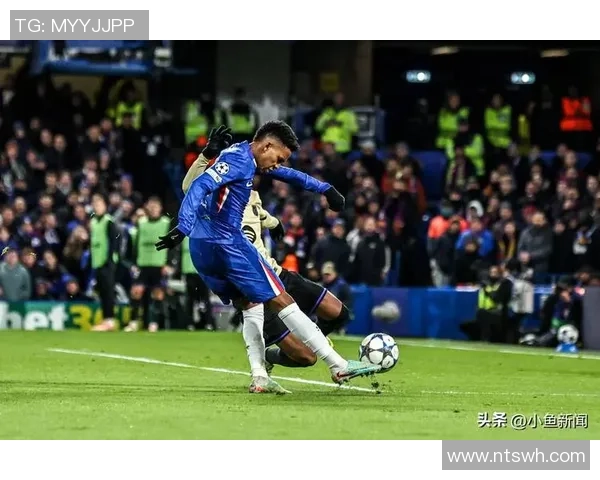 安帅:心里已有世界杯中心结构 具有埃斯特旺巴西未来就有保证